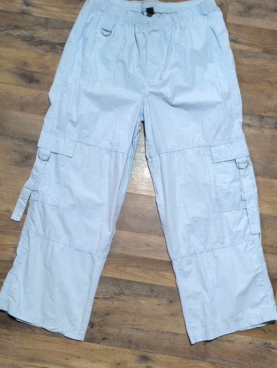 wild fable Pants - wild fable Light Blue Cargo Pants with Utility Pockets